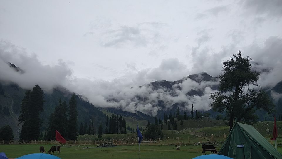 Photo of Mountain Musings 1/1 by Naga Subramanya B B