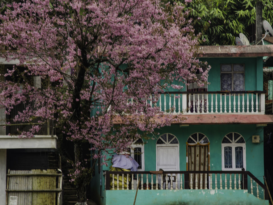 Photo of Mirik on a scooty 3/25 by Abhishek Dey