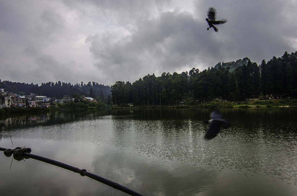 Photo of Mirik on a scooty 7/25 by Abhishek Dey