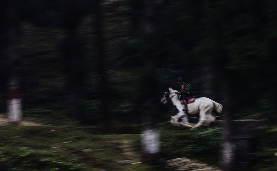 Photo of Mirik on a scooty 19/25 by Abhishek Dey