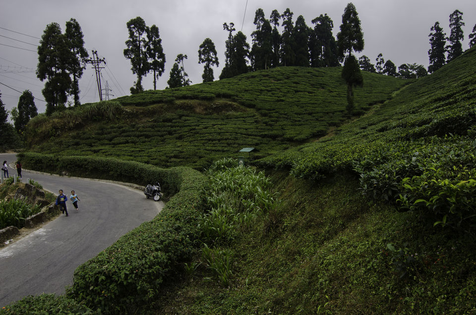 Photo of Mirik on a scooty 20/25 by Abhishek Dey