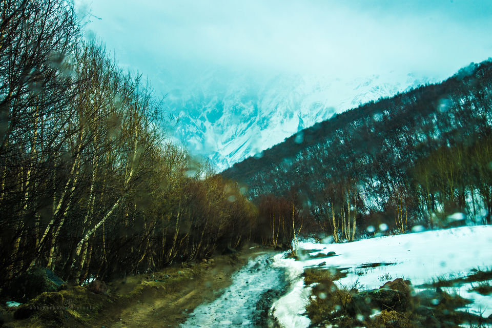 Photo of Riding through Georgia 42/95 by Abhishek Dey