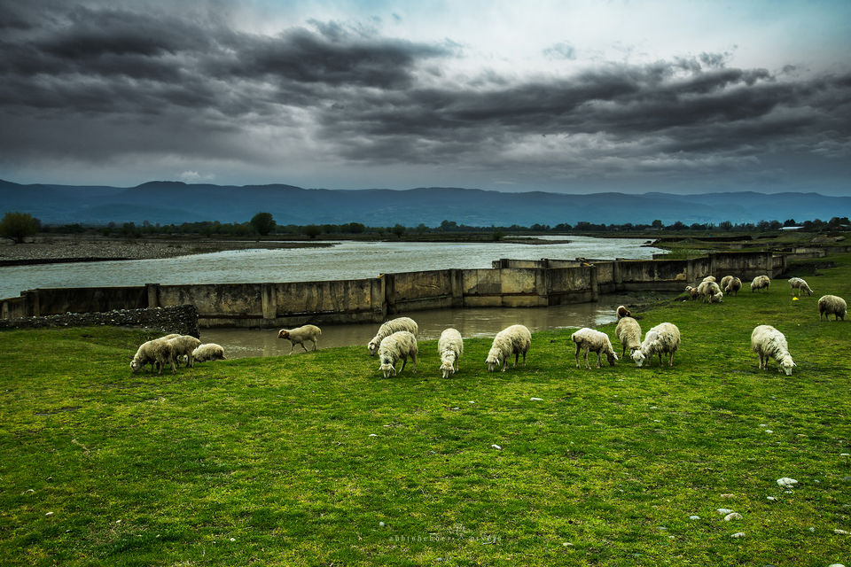 Photo of Riding through Georgia 63/95 by Abhishek Dey