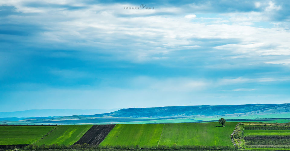 Photo of Riding through Georgia by Abhishek Dey