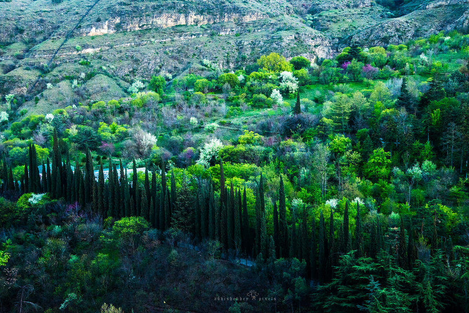 Photo of Riding through Georgia by Abhishek Dey