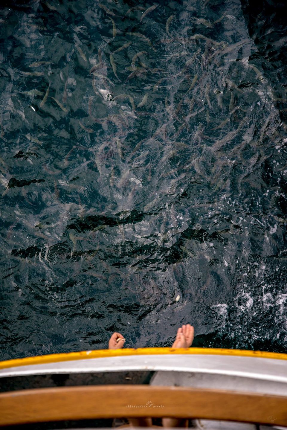 Photo of Golden Horn, Turkey by Abhishek Dey