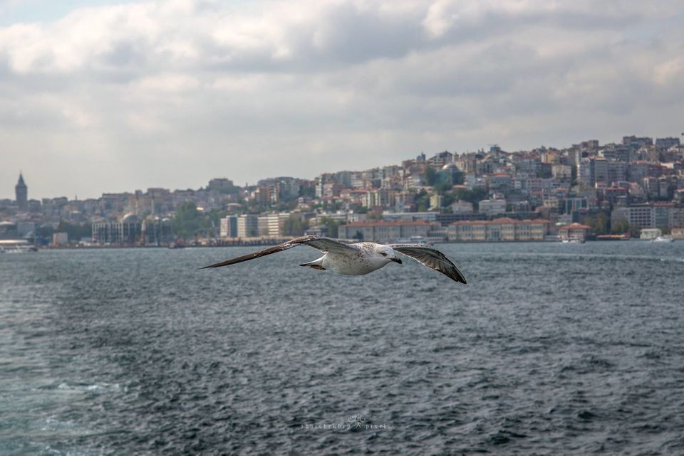 Photo of Golden Horn, Turkey by Abhishek Dey