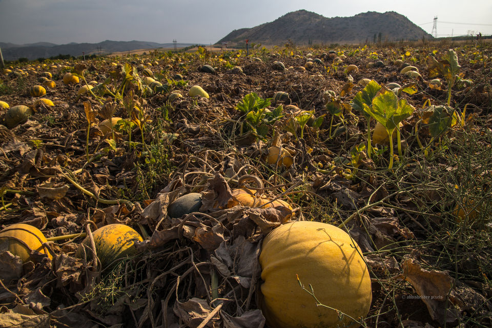 Photo of The land of the Turks by Abhishek Dey