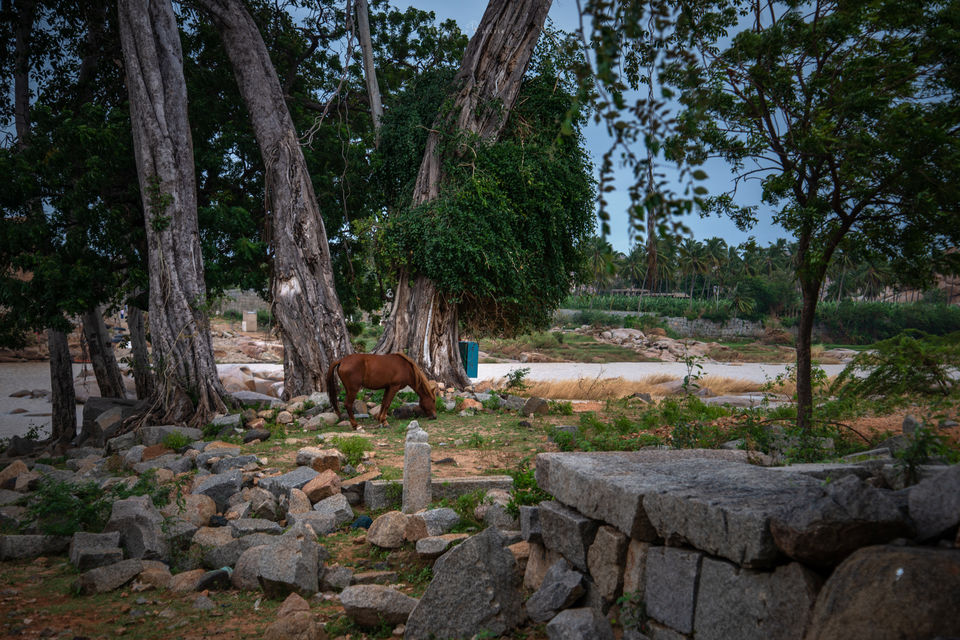 Photo of Clarks Inn Hampi, Taluk, Kamalapur, Karnataka, India by Abhishek Dey
