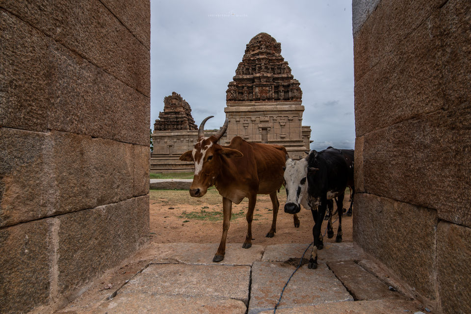 Photo of Clarks Inn Hampi, Taluk, Kamalapur, Karnataka, India by Abhishek Dey