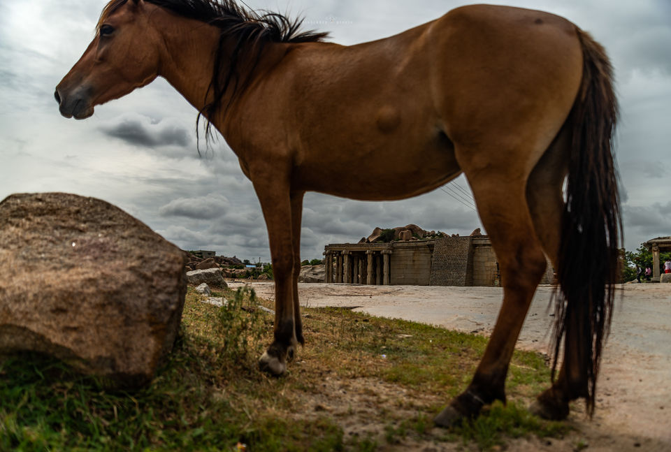 Photo of Clarks Inn Hampi, Taluk, Kamalapur, Karnataka, India by Abhishek Dey
