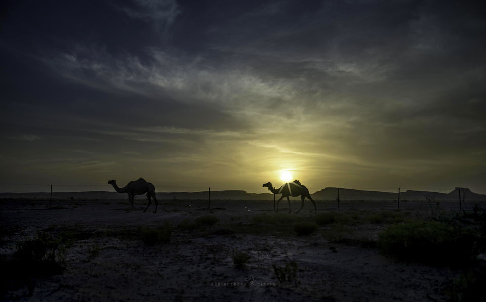 Photo of Four Boys; Never-ending Road; Another World 4/41 by Abhishek Dey