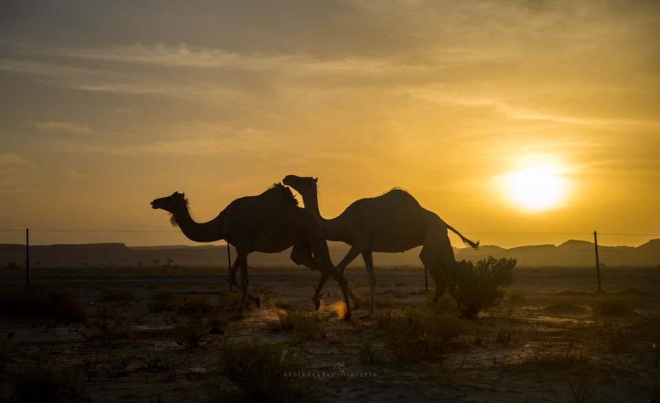 Photo of Four Boys; Never-ending Road; Another World 6/41 by Abhishek Dey