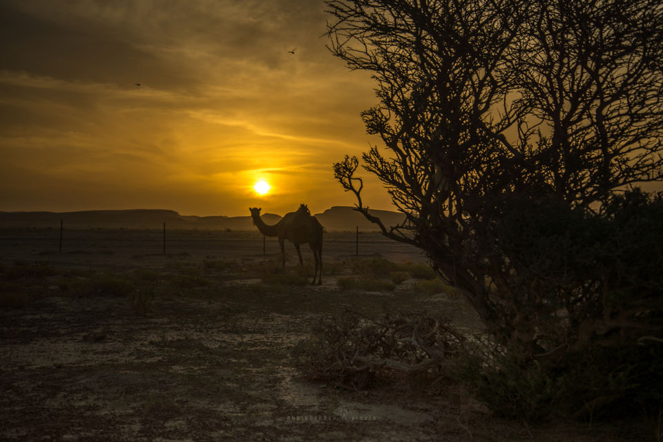 Photo of Four Boys; Never-ending Road; Another World 5/41 by Abhishek Dey