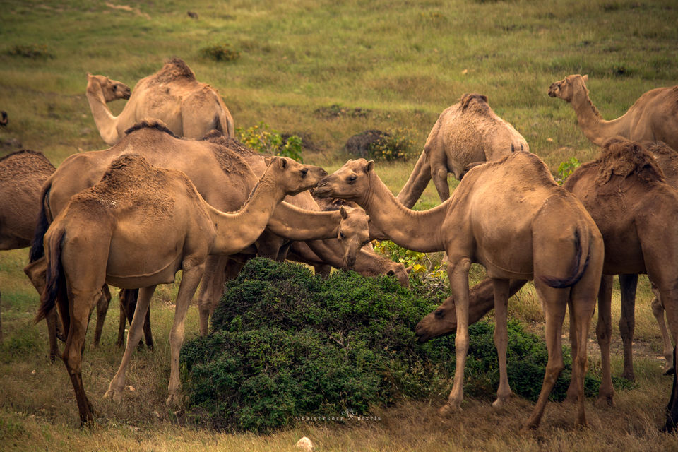 Photo of Four Boys; Never-ending Road; Another World 16/41 by Abhishek Dey