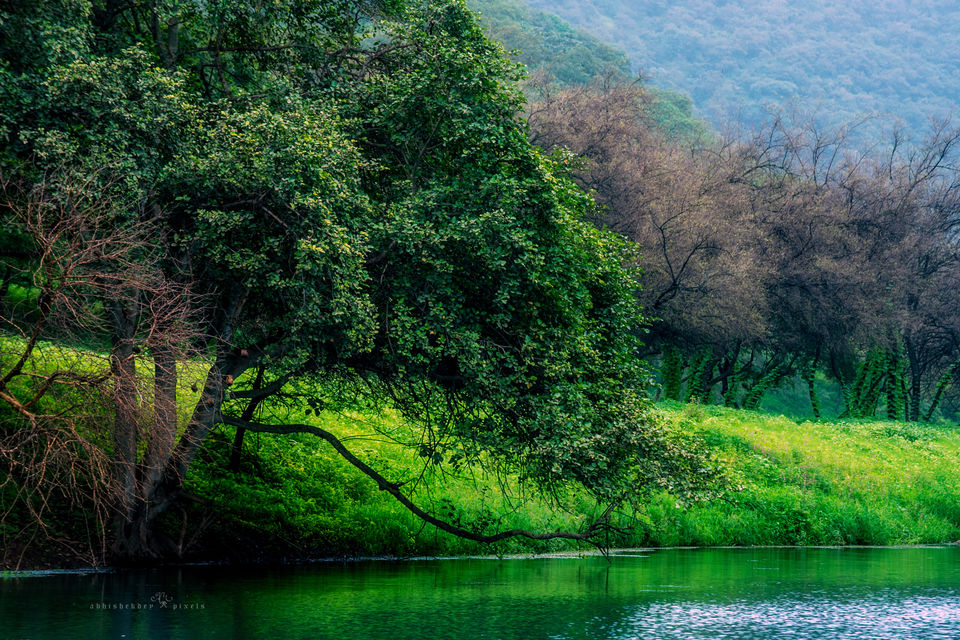 Photo of Four Boys; Never-ending Road; Another World 34/41 by Abhishek Dey