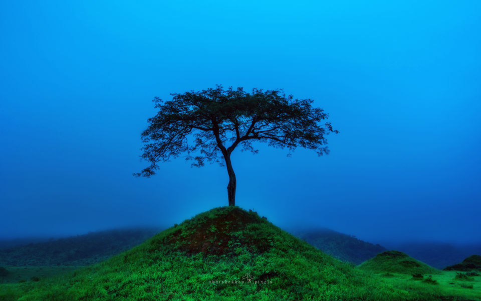 Photo of Four Boys; Never-ending Road; Another World 15/41 by Abhishek Dey