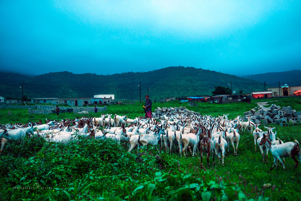 Photo of Four Boys; Never-ending Road; Another World 12/41 by Abhishek Dey