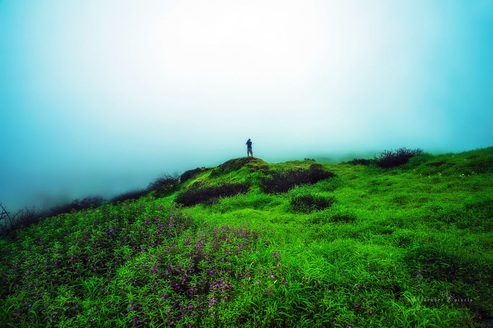 Photo of Four Boys; Never-ending Road; Another World 10/41 by Abhishek Dey