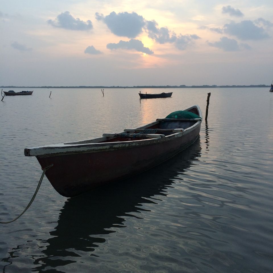 Photo of Things that'll make you fall in love with 'Namma Chennai' 1/3 by simranbhalla4