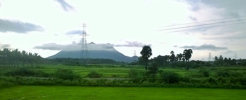 Photo of Kodaikanal:The gift of forest by archita roy