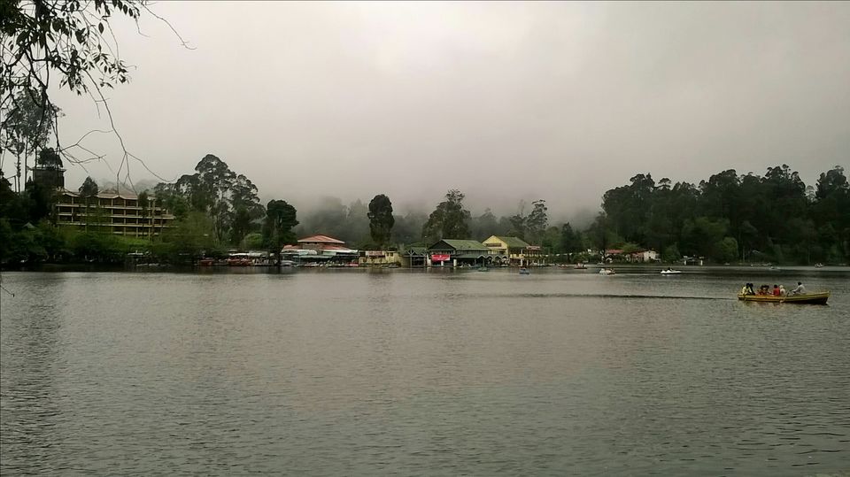 Photo of Kodaikanal:The gift of forest by archita roy