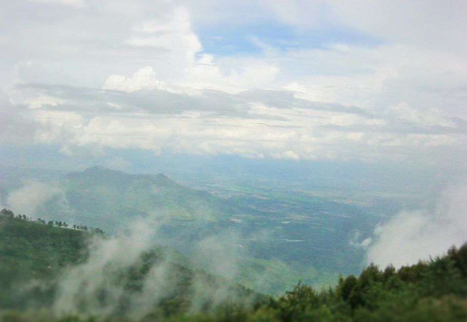 Photo of Kodaikanal:The gift of forest by archita roy