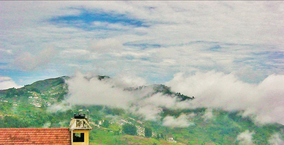 Photo of Kodaikanal:The gift of forest by archita roy
