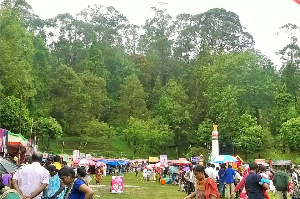 Photo of Kodaikanal:The gift of forest by archita roy