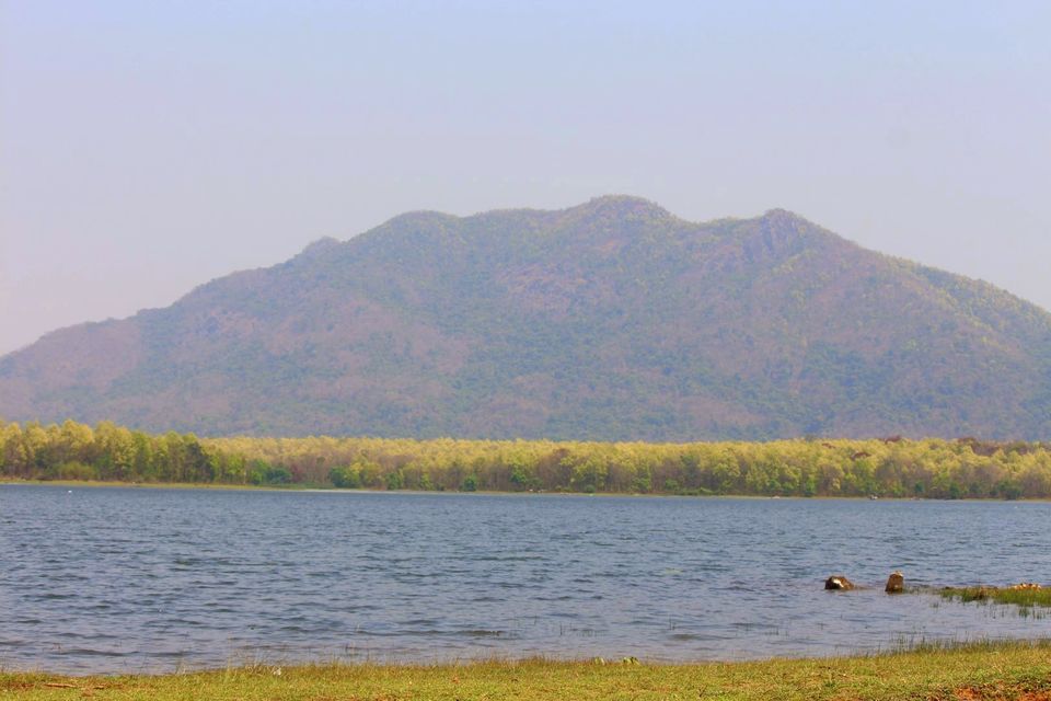 Photo of An Expedition To Kuldiha Wildlife Sanctuary, Odisha by Minakhi