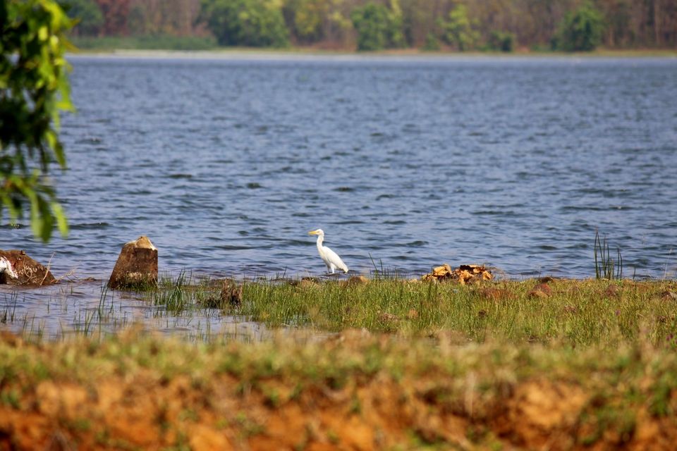 Photo of An Expedition To Kuldiha Wildlife Sanctuary, Odisha by Minakhi