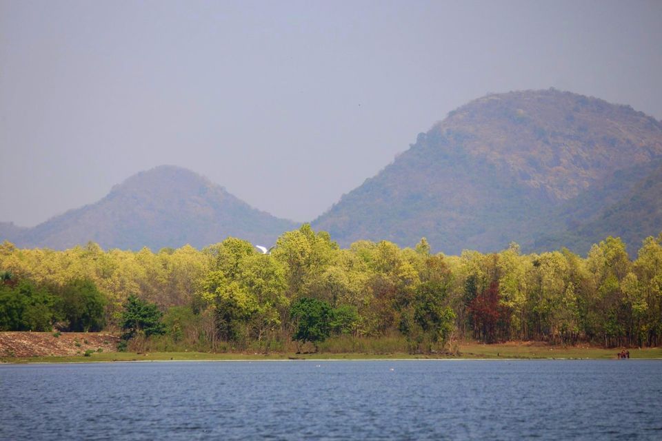 Photo of An Expedition To Kuldiha Wildlife Sanctuary, Odisha by Minakhi