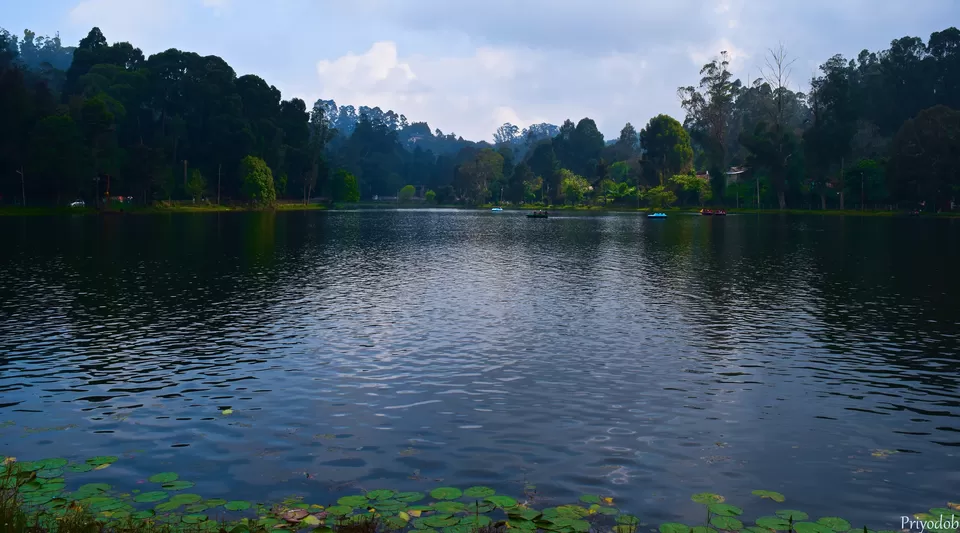 Photo of Kodaikanal Lake, Kodaikanal, Tamil Nadu by Priyodob Kundu