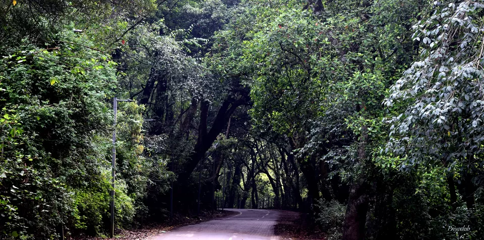 Photo of Kodaikanal Lake, Kodaikanal, Tamil Nadu by Priyodob Kundu