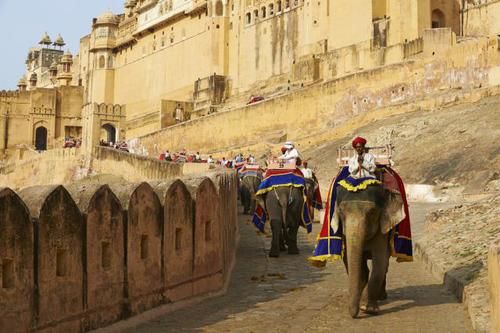 Photo of The Most Fabulous Golden Triangle Tour Package to Explore North India 2/3 by rfwdindia