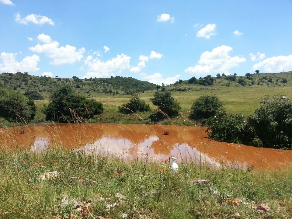 Photo of Krugersdorp, Gauteng, South Africa by Abhinav Gupta