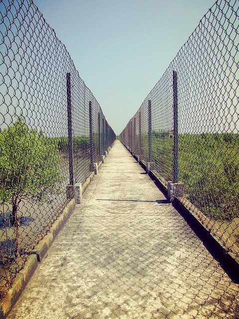 Photo of Do Banki, South 24 Parganas, West Bengal, India by ANKITA DEY