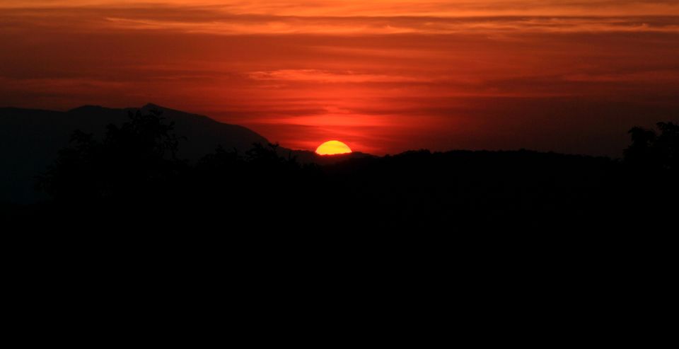 Photo of A Rejuvenating Trip to Coorg 1/5 by ANKITA DEY