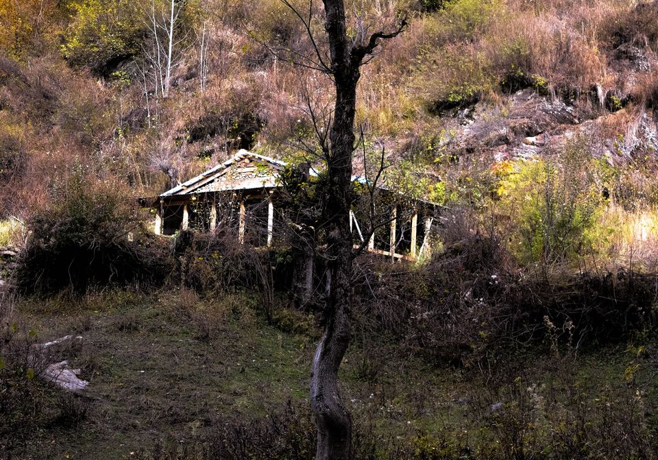 Photo of Kasol: A place where we all want to be by nishesh kumar