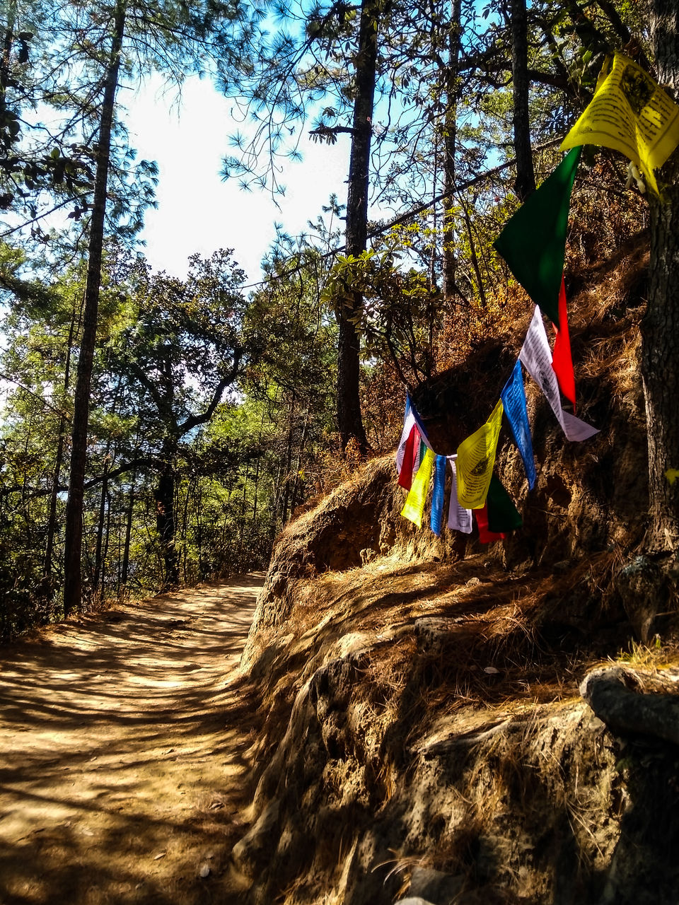 Photo of Taktsang Trail, Paro, Bhutan by Geetika Jindal