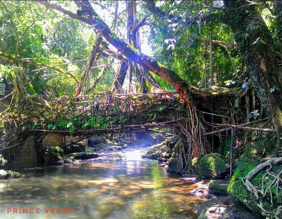 Photo of Meghalaya by Prince Verma