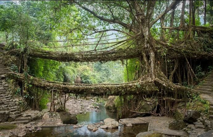 Photo of Meghalaya by Prince Verma