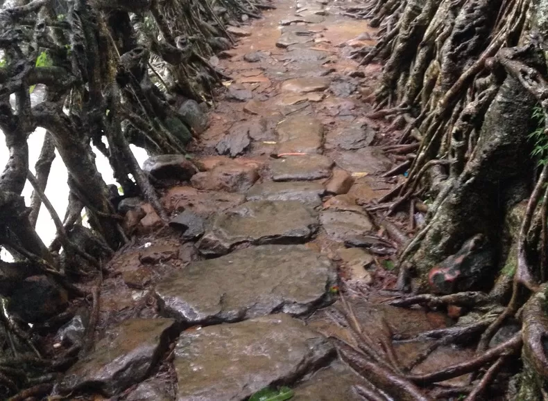 Photo of Mawlynnong, Meghalaya, India by sheralli