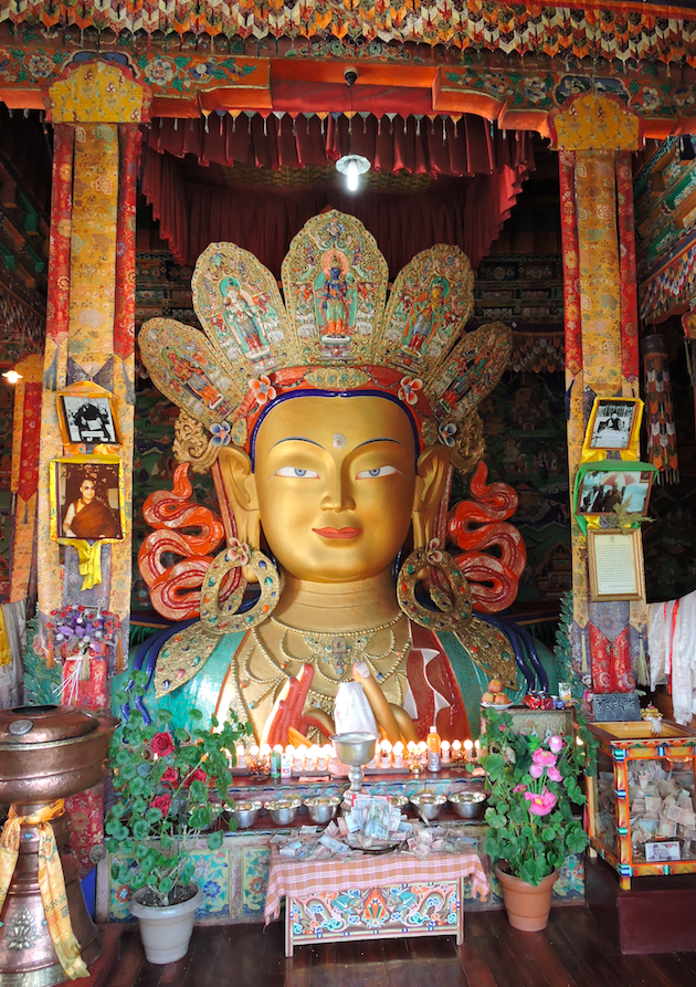 Photo of Thikse Monastery, Thiksey by sheralli