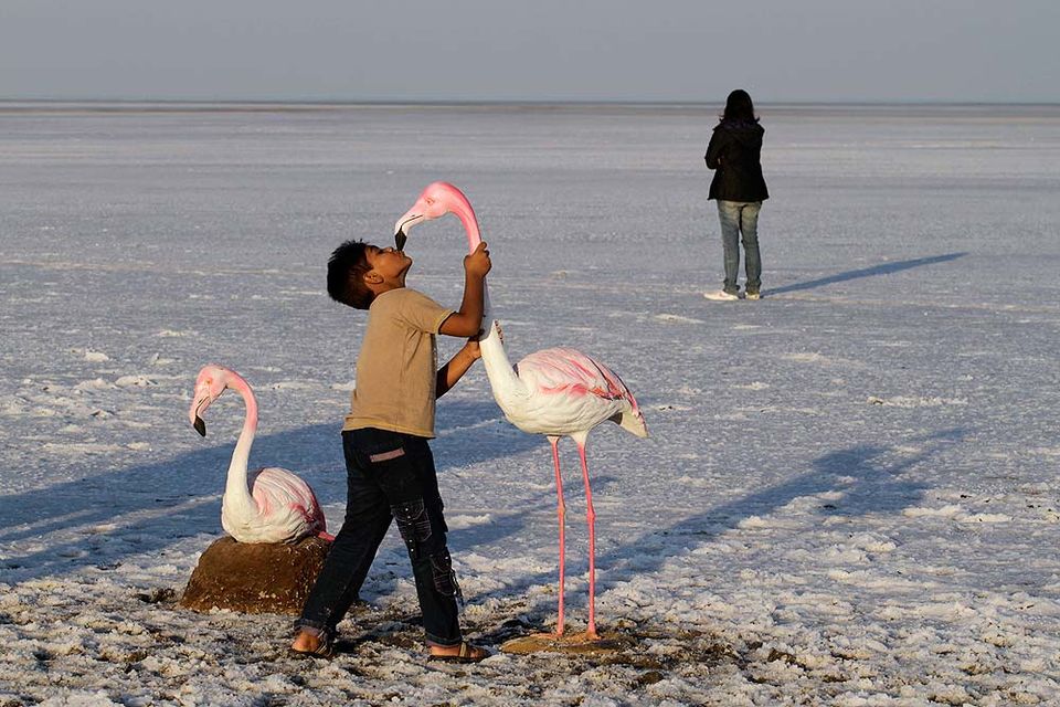 Photo of Little Rann of Kutch: Wild at Heart 1/1 by Biplab Poddar