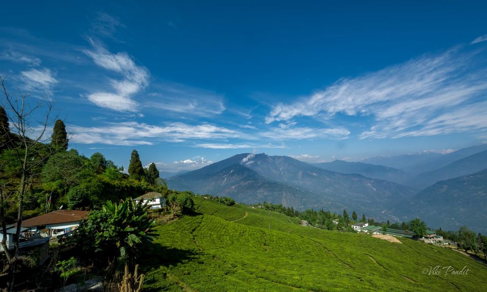 Photo of Pelling, The Heaven of Sikkim 1/1 by Biplab Poddar