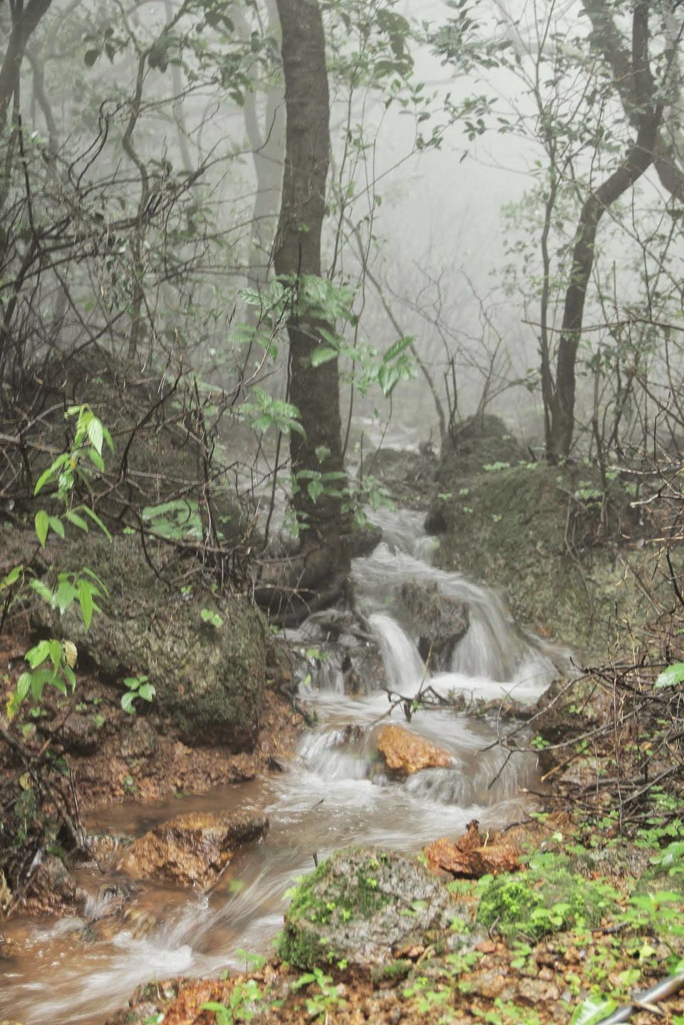 Photo of Matheran By Abhijeet Sawant