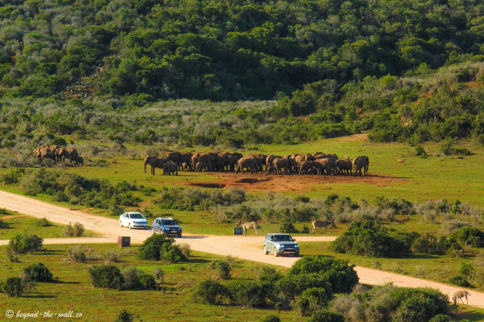 Photo of The A-Z Of Enjoying An African Safari, Without Breaking Your Bank 4/5 by Beyond The Wall Travel Blog