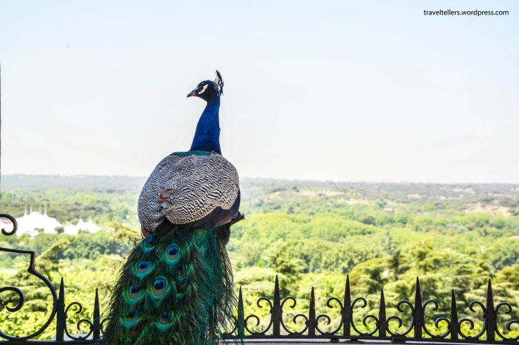 Photo of Madrid– One Final Stop by Mansi Patil