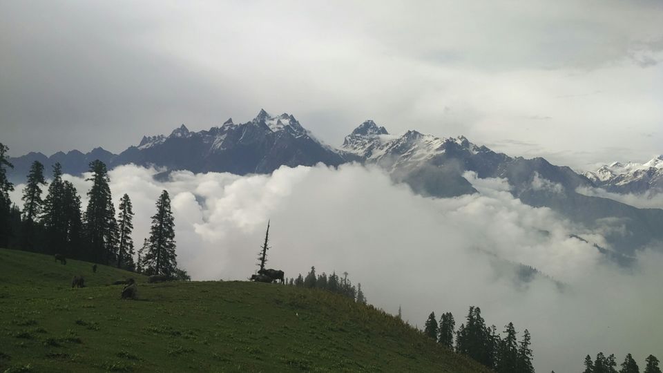 Photo of Himalayas - Heaven on Earth (POEM) 1/1 by Basant Jajoo